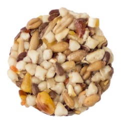 Sunseed SunSations Nutty Tidbits Bird Treat 3.5oz