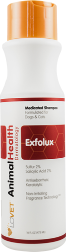 Nootie Lovet Exfolux White Lotus Plum Shampoo 16oz