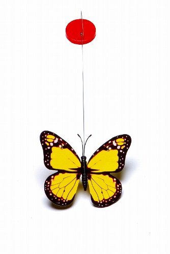 Marukan Spinning Butterfly Cat Toy
